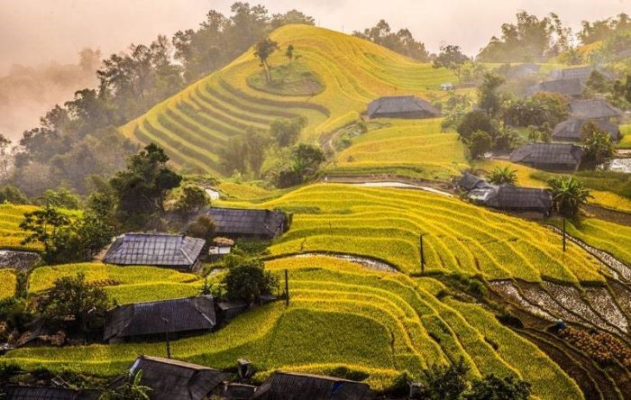 Rice Seasons Hoang Su Phi Tuyen Quang
